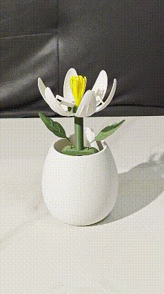 浇水花开