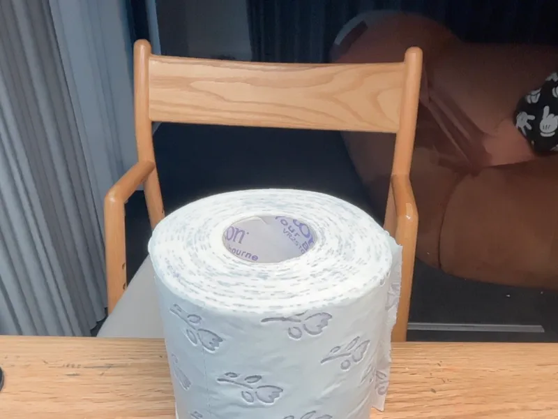 toilet paper