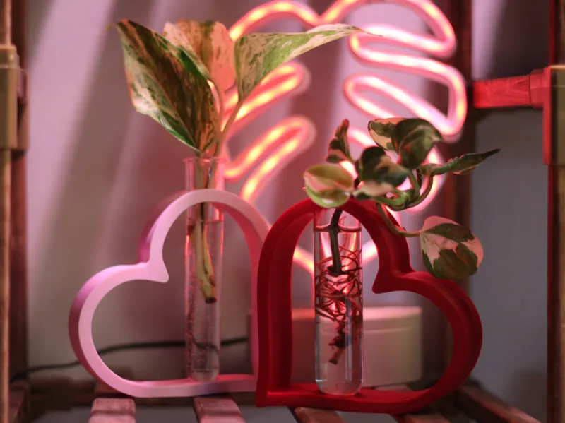 Valentine's Day Heart Propogation Stand