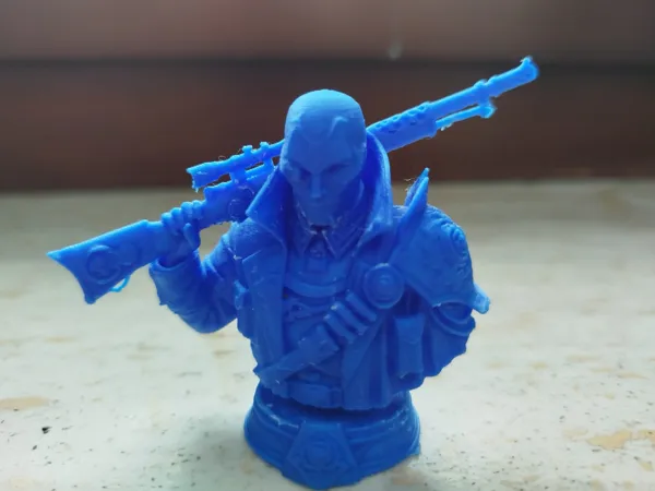 https://makerworld.bblmw.com/makerworld/model/DSM00000002734874/design/617cfb0dc2d3f66f.jpeg