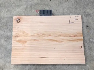 DIY race scale esp32 mount box