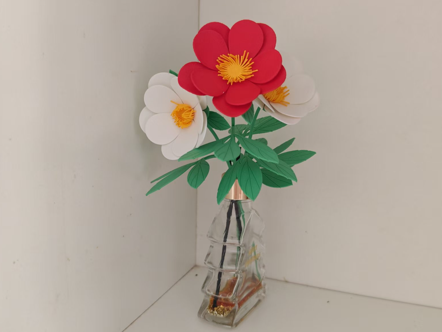 单瓣芍药(中国爱情之花/五月花神)