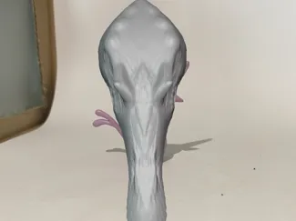 Spino wall thingy