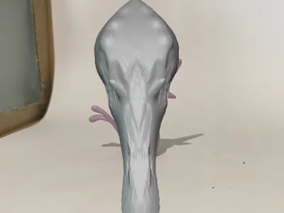 Spino wall thingy
