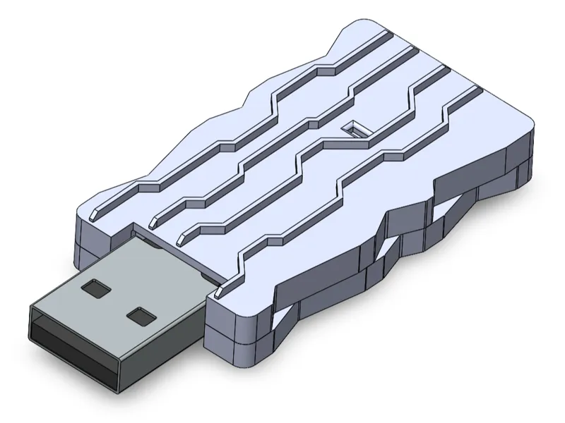USB cyber case