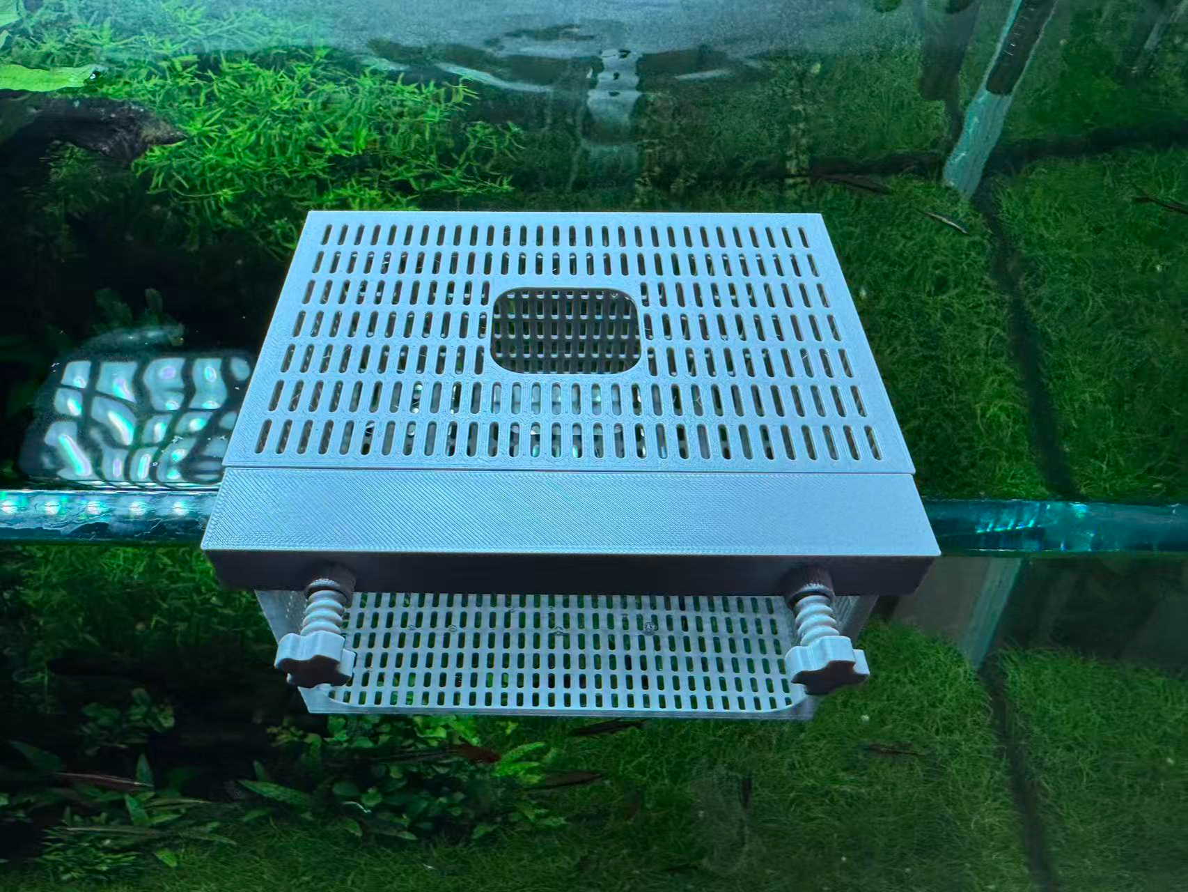 带盖悬浮式鱼缸隔离盒