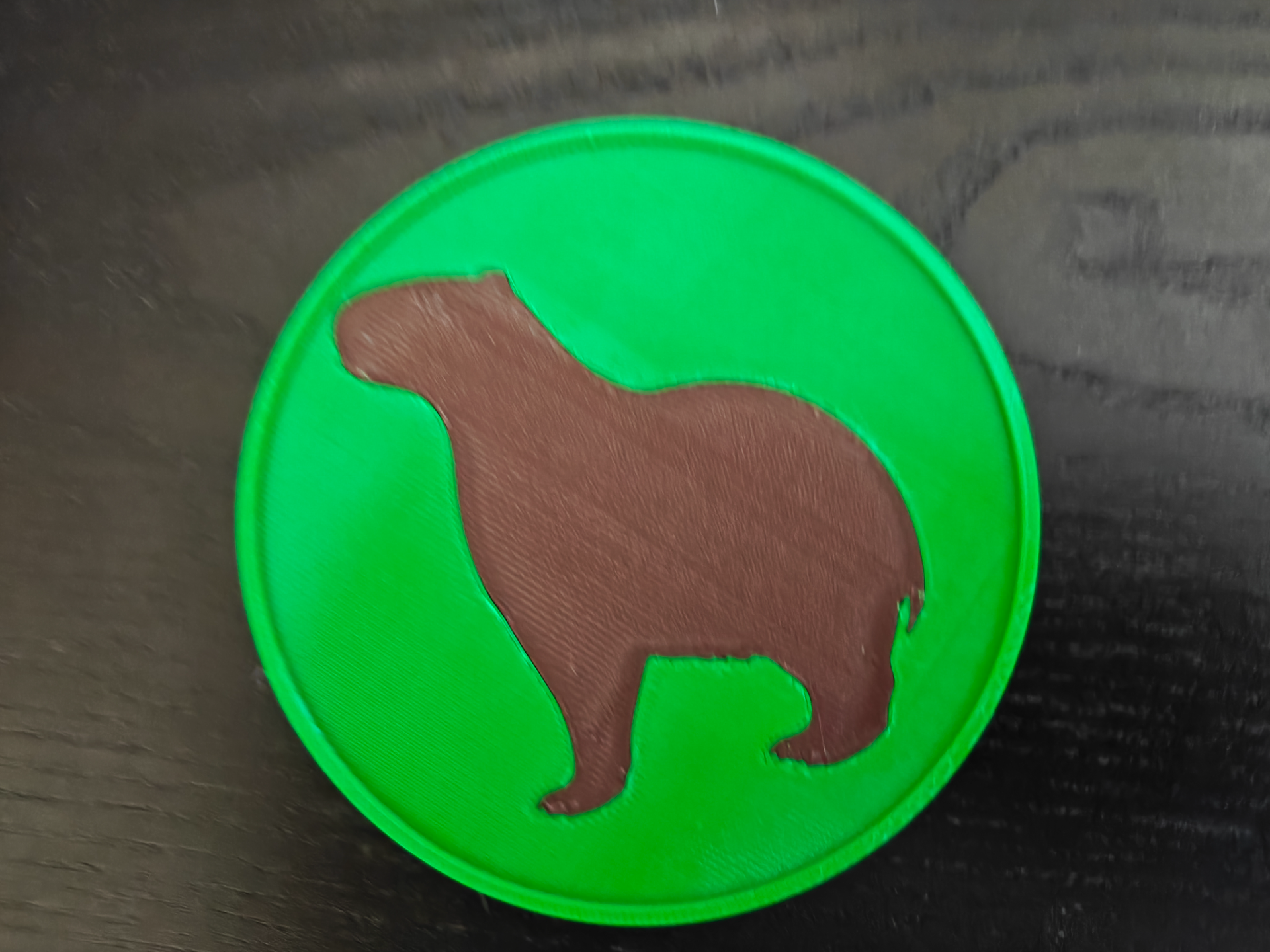 Animal Coasters — 20 Species (90mm)