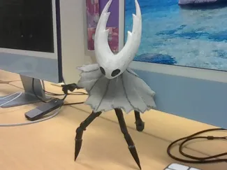 the hollow knight