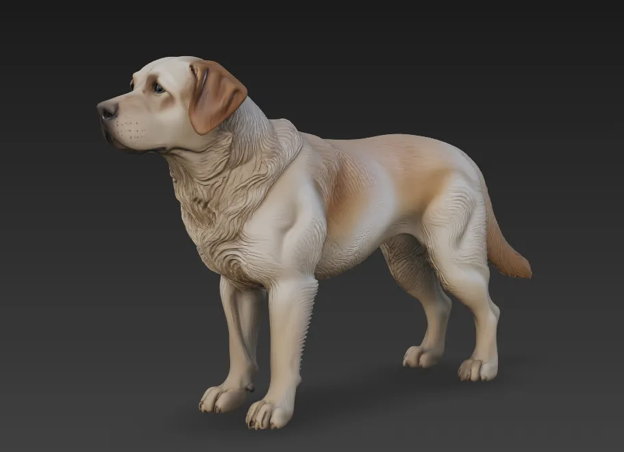 Labrador Model Labrador Retriever - Free 3D Print Model - MakerWorld