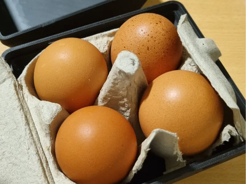 Camping egg safe container 