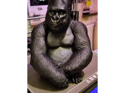Gorilla Topper