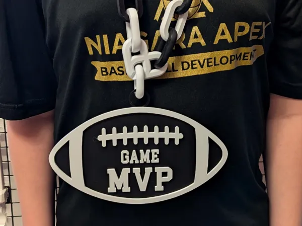 https://makerworld.bblmw.com/makerworld/model/DSM00000002743165/design/c1594ccbeeb91714.jpg