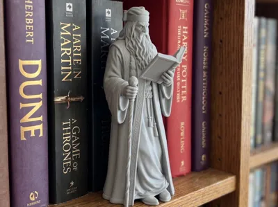 DumbleDore Book Shelf Decor Harry Potter Style