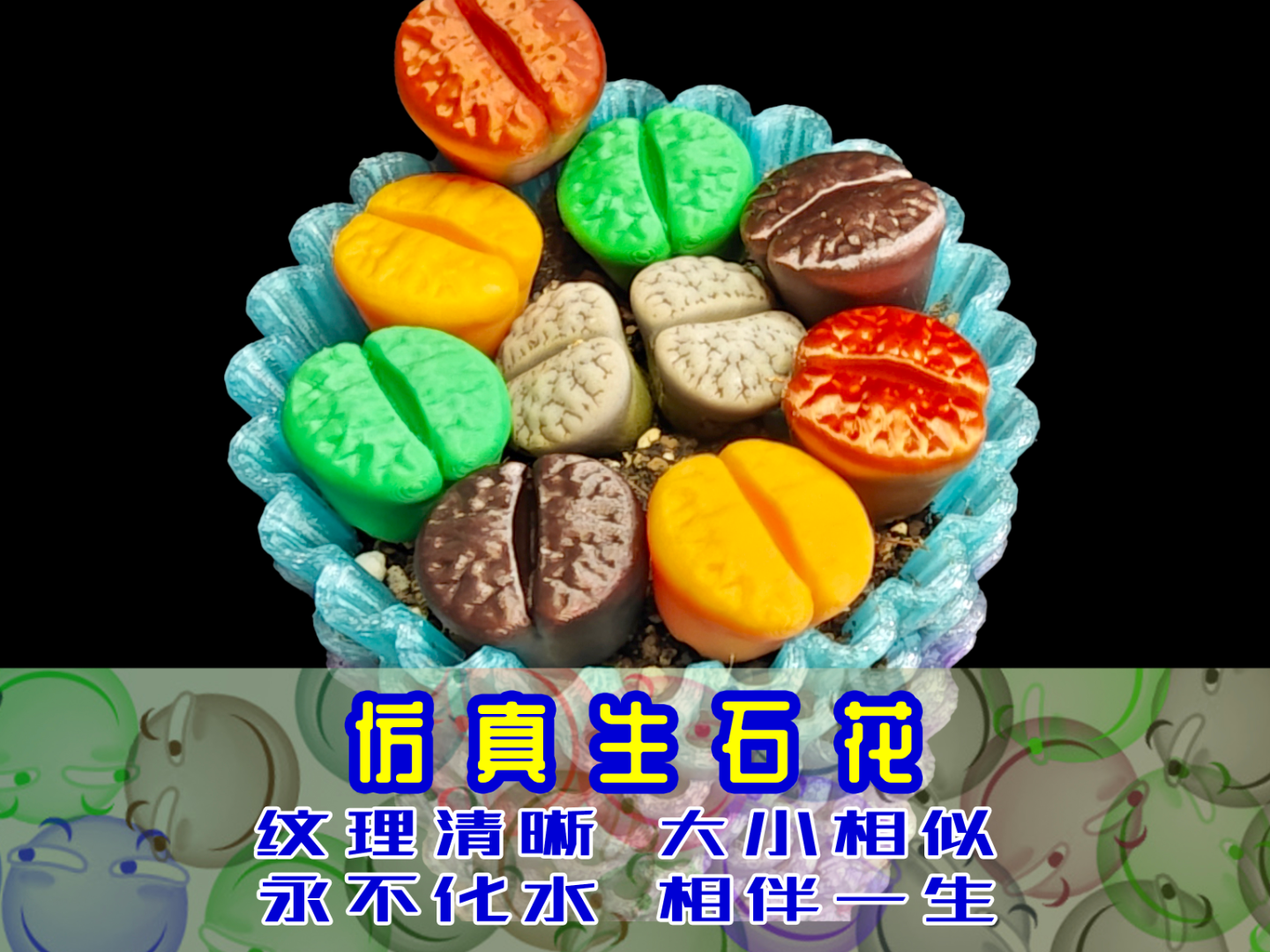 生石花仿真花朵屁股花番杏菊纹章拿铁