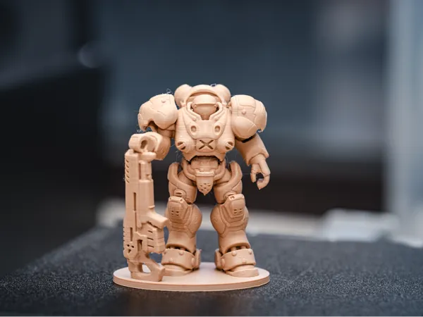 https://makerworld.bblmw.com/makerworld/model/DSM00000002745142/design/fb0ad9f288480f20.jpg