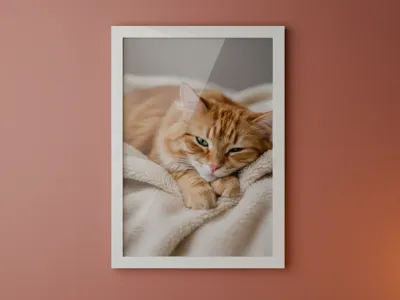 Wall photoframe white