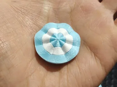 Argentine Cockade