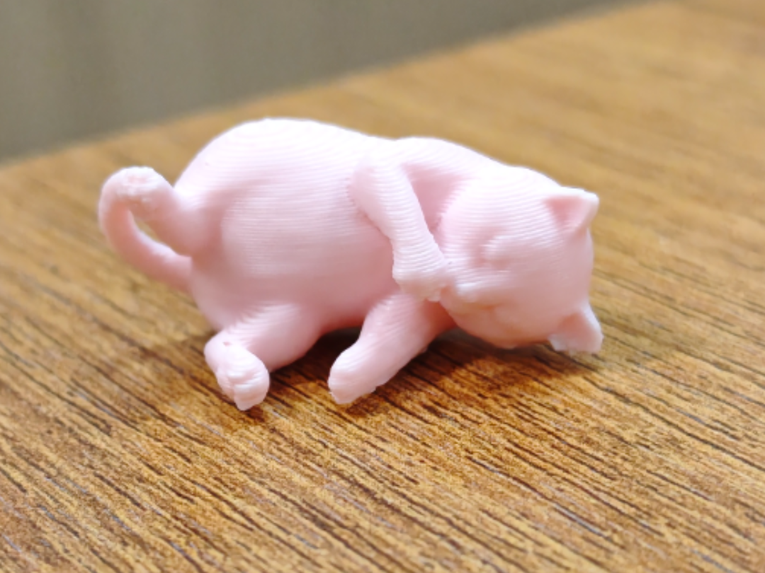 抓猫