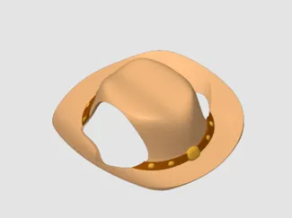 Cowboy hat for cats any cats
