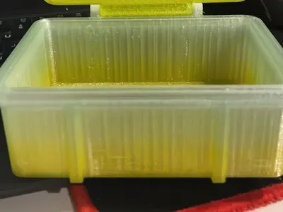 World Cup Case