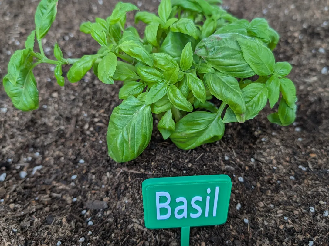 Basil Garden Label – Easy No-Support Print - Free 3D Print Model ...