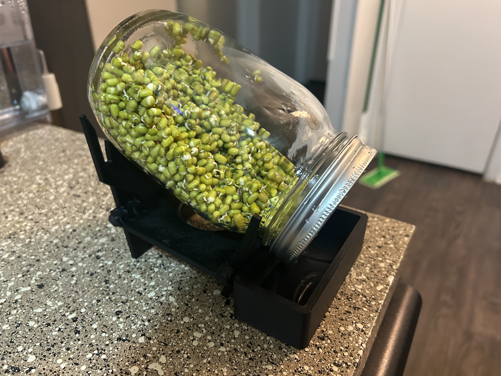 Sprouting Jar Drip Tray Add-On