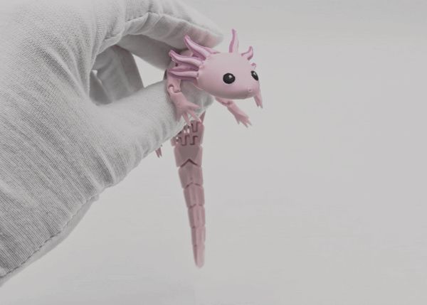 https://makerworld.bblmw.com/makerworld/model/DSM00000002755958/design/8d06f7a98239d2e9.gif