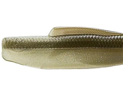 paddle tail