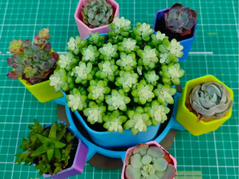 组合式多肉花盆