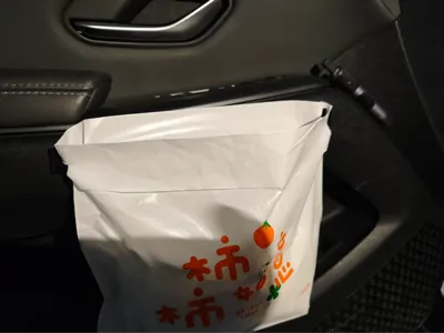Car trash bag assist hook