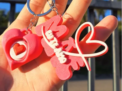 https://makerworld.bblmw.com/makerworld/model/DSM00000002760740/design/da64c02e31e2ed92.jpeg