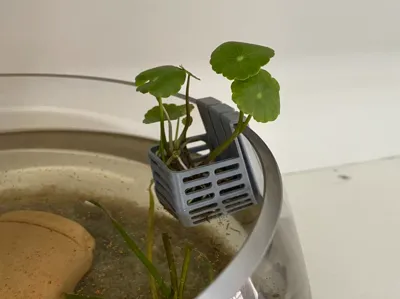 Aquatic Plant Basket