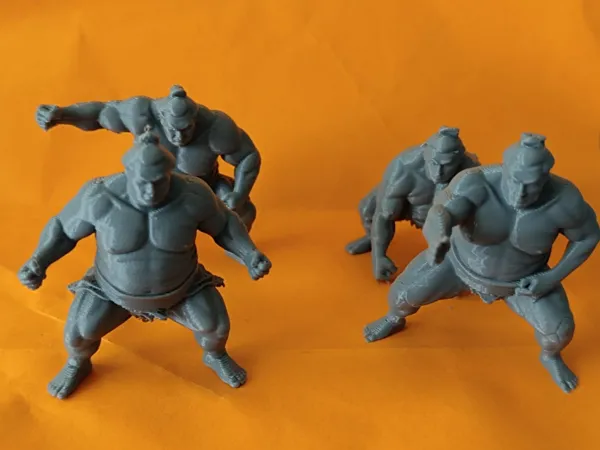 https://makerworld.bblmw.com/makerworld/model/DSM00000002764783/design/ad1d270f92f4c0d1.jpeg