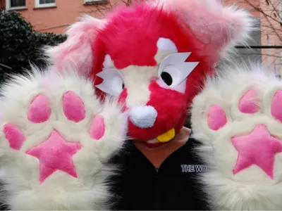 Furry fursuit head canine