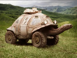 ZPT Turtle Tank