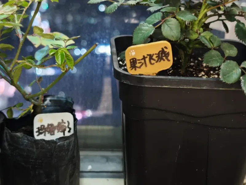 植物指示牌-可书写-地标插牌
