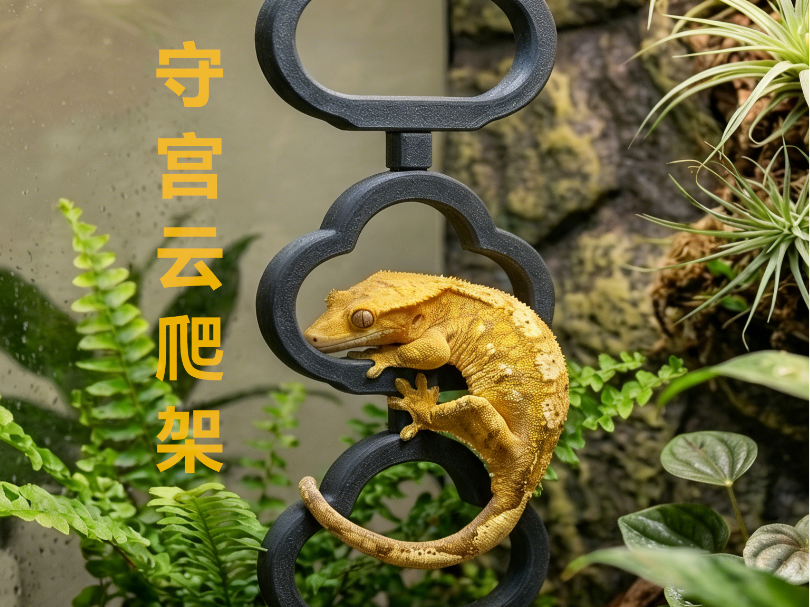 守宫云梯爬架