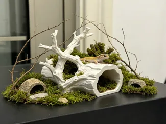 热带雨林 枯树 守宫小屋 守宫躲避屋  守宫缸  造景 爬宠小屋   