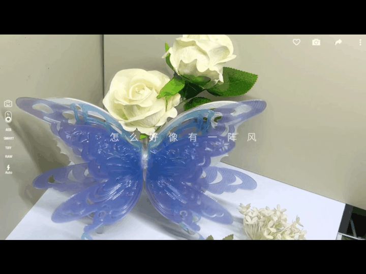 【蝶语花瓶】蝶落于此，把春天的温柔收进桌面里