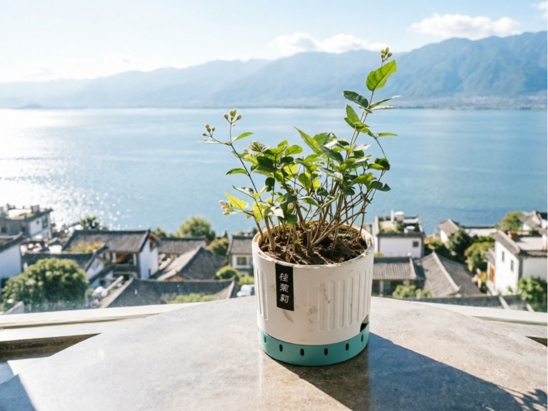 圆形自动吸水内部全镂空透气花盆
