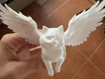 Flying Cat
