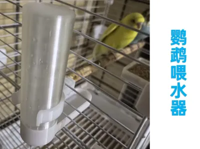 Parrot Water Dispenser, Automatic Water Dispenser, Bird Waterer
