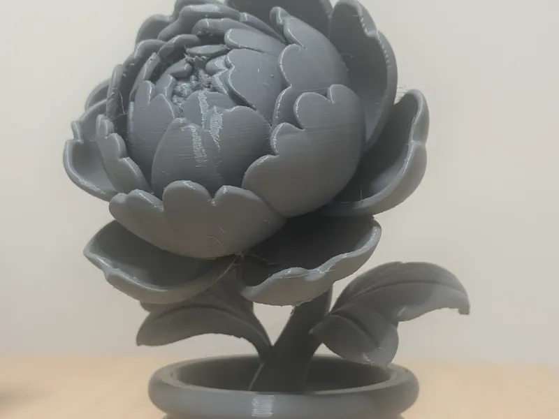 国花牡丹