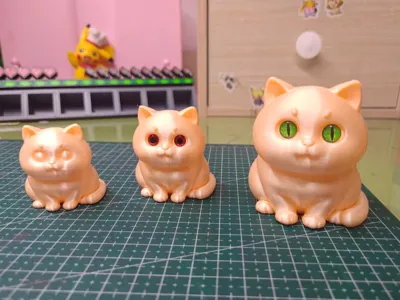 Chubby Little Cat