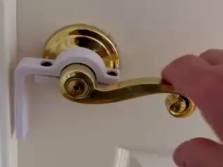 Cat Lever Door Handle Stop