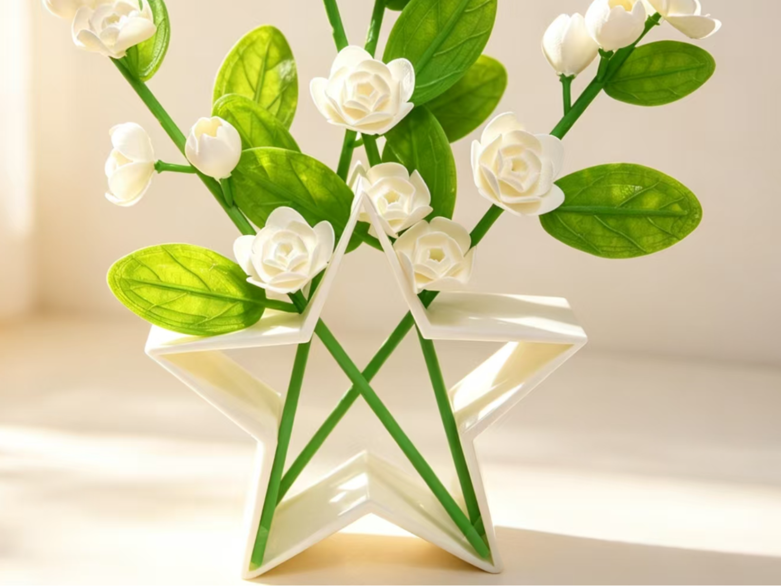 五角星 干花/永生花 花瓶