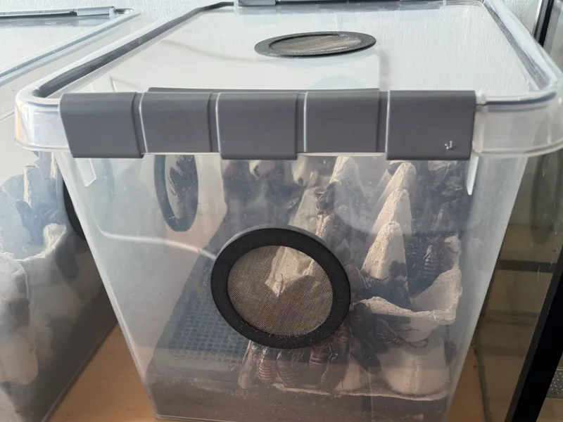 Lüftungsverschraubung für 80mm Löcher