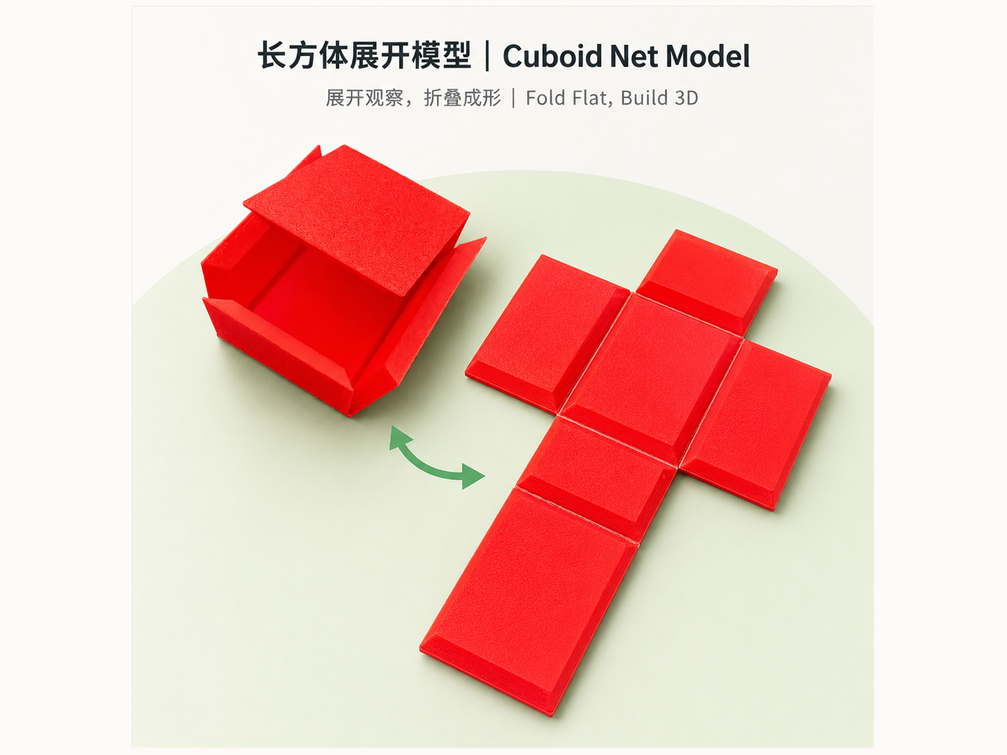 长方体展开模型｜可折叠立体几何学习教具｜小学生数学辅助模型