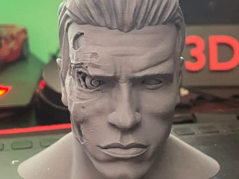 Arnold Terminator