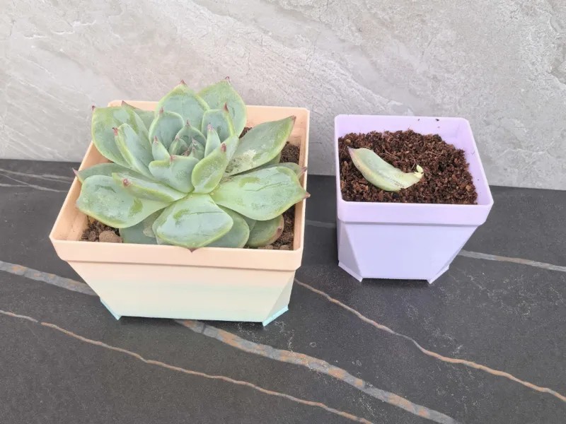 多肉透气花盆（5-10cm）